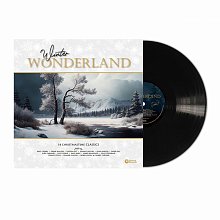 Виниловая пластинка V/A - WINTER WONDERLAND - 14 CHRISTMASTIME CLASSICS BLACK VINYL 12"