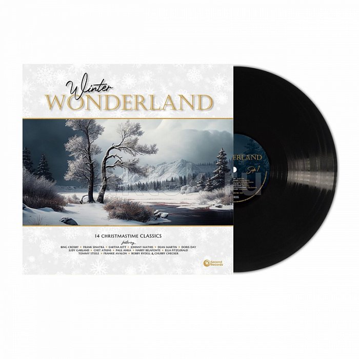 Виниловая пластинка V/A - WINTER WONDERLAND - 14 CHRISTMASTIME CLASSICS BLACK VINYL 12"