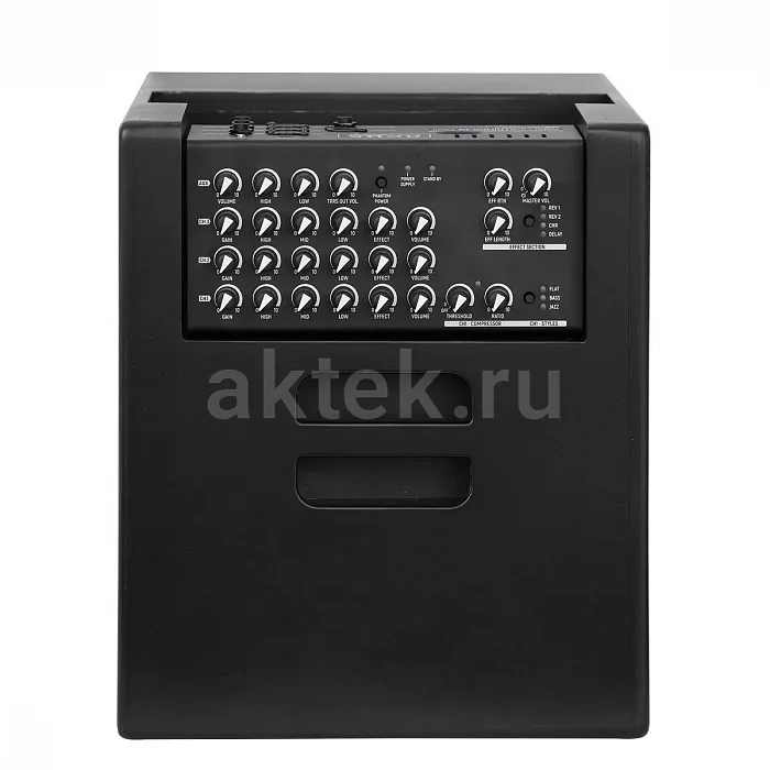 Acus One ForStrings 10Ferdi акустический комбоусилитель, 250 Вт, три канала 2