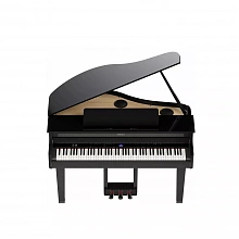 Roland GP 6 PE цифровой рояль, 88 клавиш, 256 голосов 3