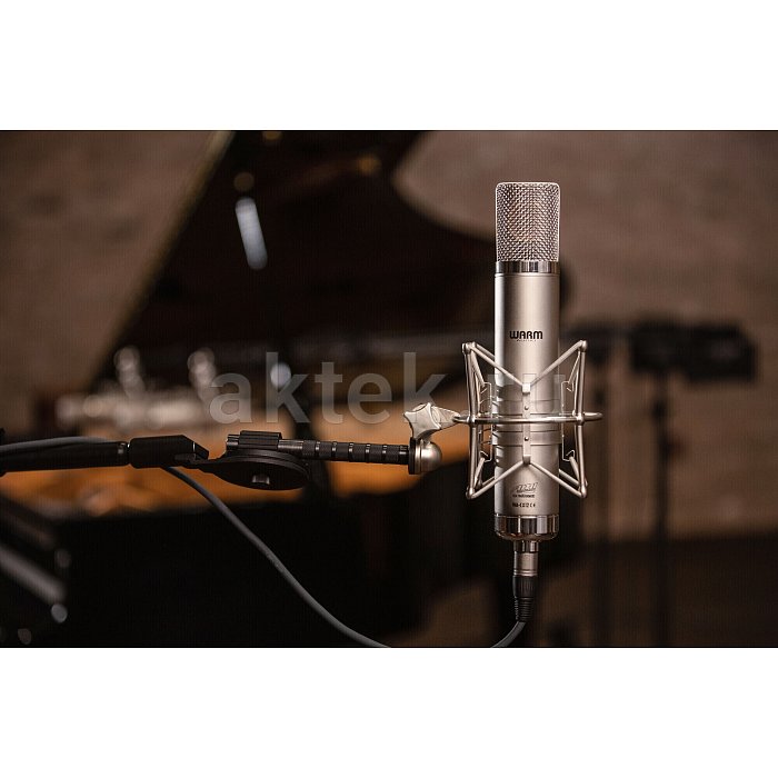 Студийный микрофон Warm Audio WA-CX12 3