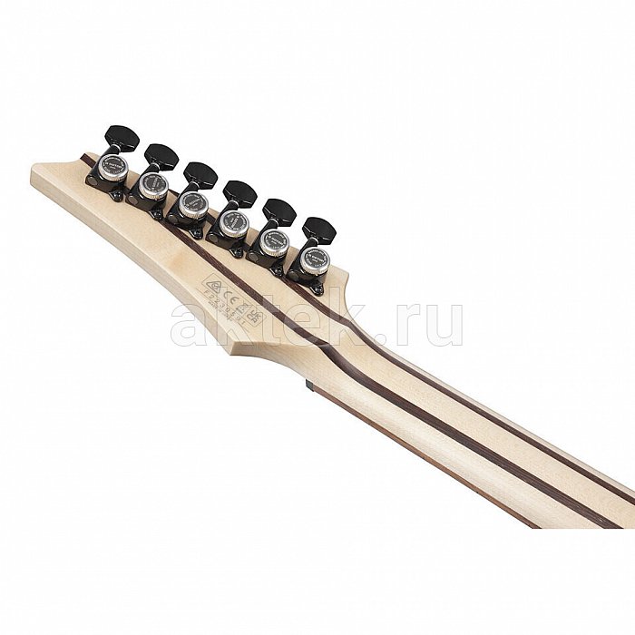 Электрогитара IBANEZ RGD3121-PRF Polar Lights Flat with Case 10
