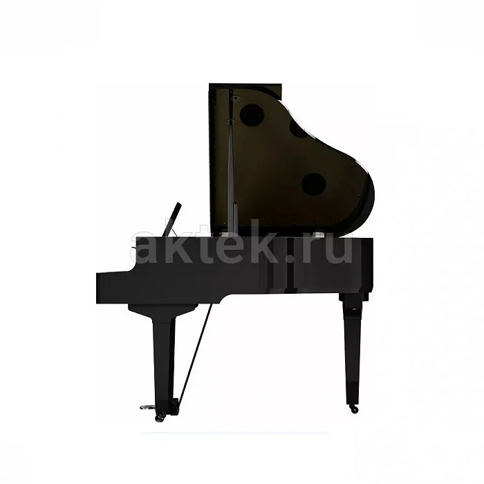 Roland GP 9 PE цифровой рояль, 324 тембра, восемь динамиков 8
