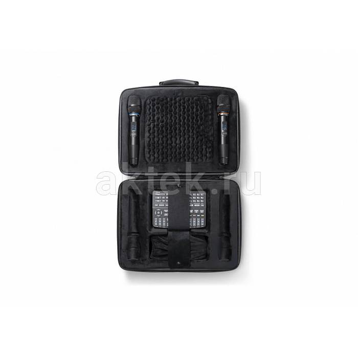 Караоке система с микрофонами Studio Evolution EVOBOX Plus Black 19
