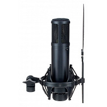 Студийный микрофон sE Electronics sE2200 3