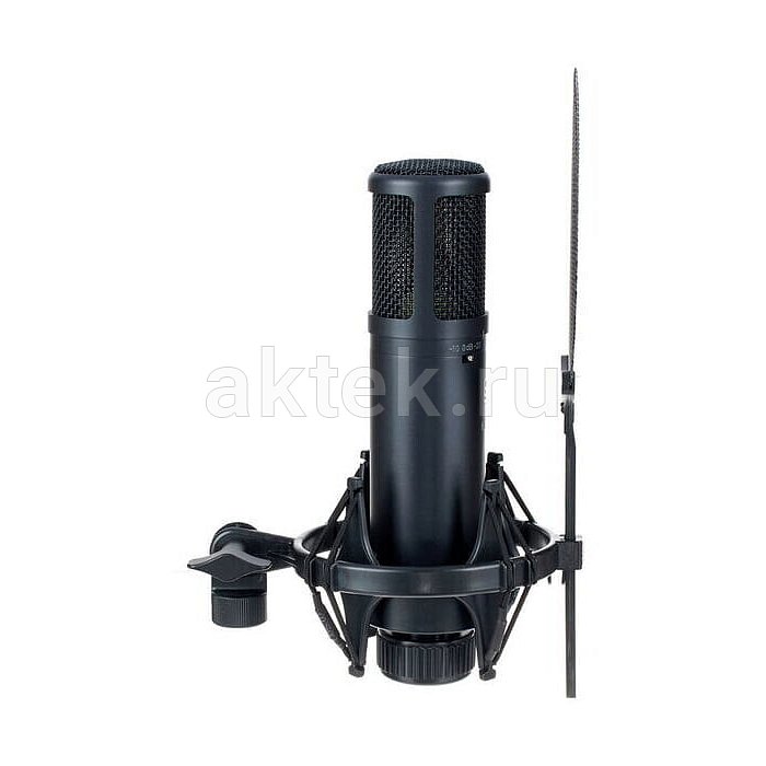 Студийный микрофон sE Electronics sE2200 3