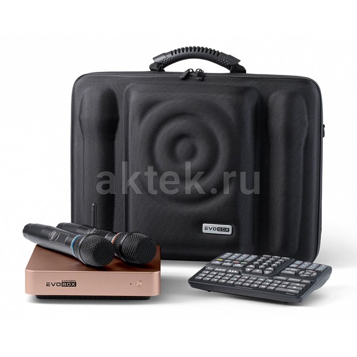 Комплект караоке с микрофонами и саундбаром EVOBOX Plus с годовым обновлением+ EvoSound Bar 2.1 Black 9