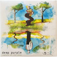 Виниловая пластинка DEEP PURPLE - RAPTURE OF THE DEEP 180 GRAM BLACK VINYL 12"