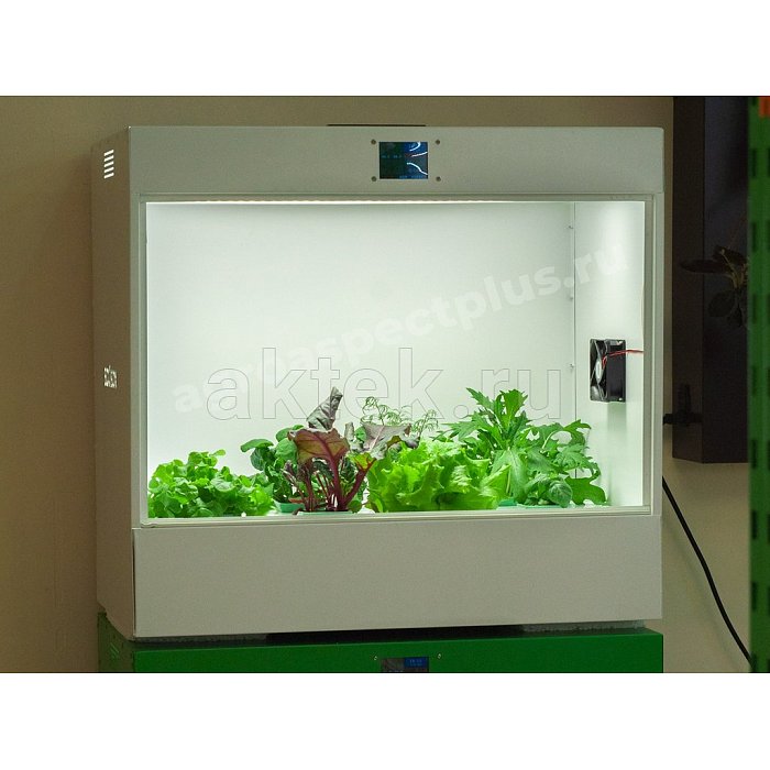 АГРОАСПЕКТ ECOBOX ED учебная гидропонная агролаборатория 80Вт LED 6