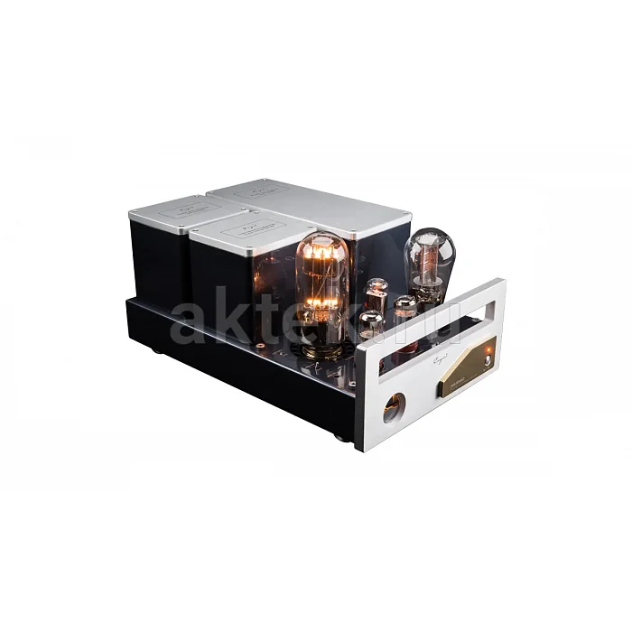 Ламповый усилитель Cayin 9084D MK2 (2 шт.) 4