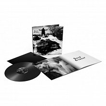 Виниловая пластинка DAVID GILMOUR - LUCK AND STRANGE 180 GRAM BLACK VINYL 12" 3