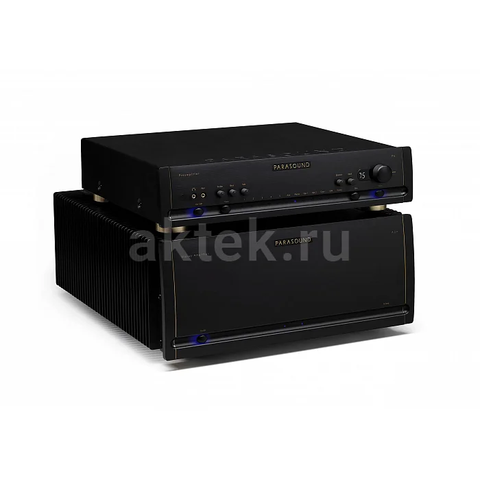 Усилитель мощности Parasound A21+ black 5