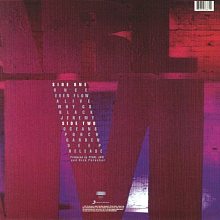 Виниловая пластинка PEARL JAM - TEN 180 GRAM BLACK VINYL 12" 2
