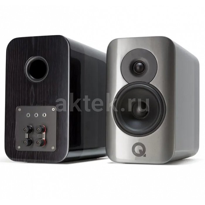 Акустическая система Q Acoustics Concept 300 Gloss Black & Rosewood