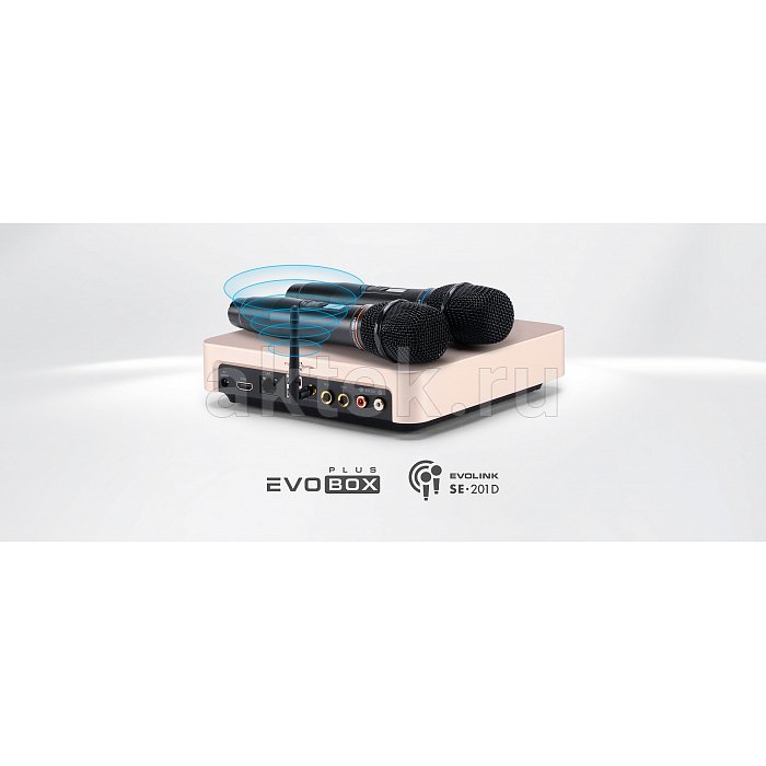 Домашнее профессиональное караоке EVOBOX PLUS + Sphere 2.1 Pearl Silver 16
