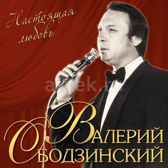 Виниловая пластинка ВАЛЕРИЙ ОБОДЗИНСКИЙ - НАСТОЯЩАЯ ЛЮБОВЬ BLACK VINYL 12"
