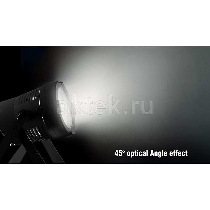 SILVER STAR SS2151XLEM TV-ONE всепогодный PAR-прожектор RGBL, IP66 6