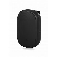 Tannoy DVS 401-WH настенная трансляционная акустика IP64 100 Вт белый