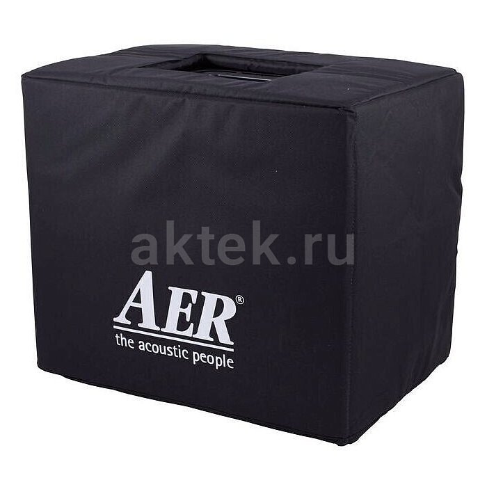 Гитарный комбоусилитель AER Domino 2A 2