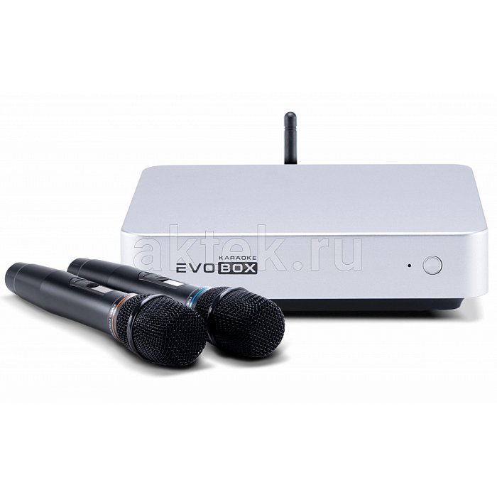 Караоке система с микрофонами Studio Evolution EVOBOX Classic Silver
