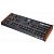 Синтезатор Oberheim OB-X8 DESKTOP