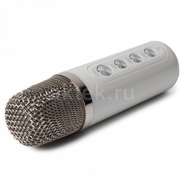 Портативная караоке колонка с микрофонами SkyDisco YS-219 white 8