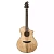 Breedlove Oregon Concert CE электроакустическая гитара, 20 ладов