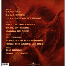Виниловая пластинка ACCEPT - BLIND RAGE 180 GRAM GOLD VINYL 12" 2