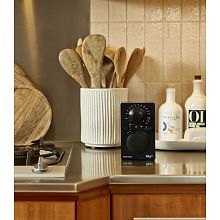 Tivoli Audio PAL BT Black портативный Bluetooth/FM-радиоприёмник с аккумулятором 3