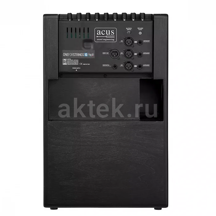 Acus One ForStrings 10Ferdi акустический комбоусилитель, 250 Вт, три канала 3