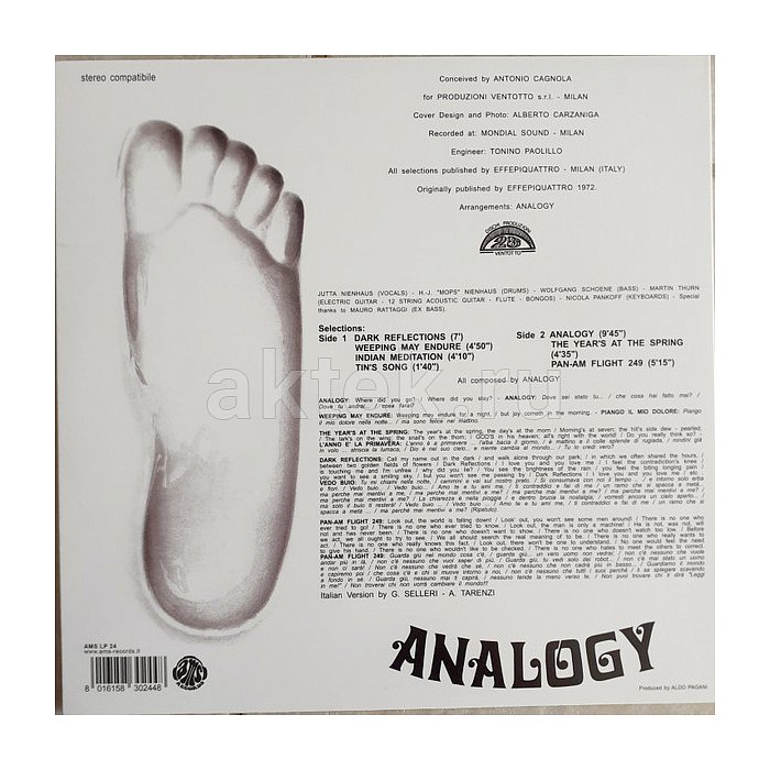 Виниловая пластинка ANALOGY - ANALOGY 180 GRAM BLACK VINYL 12" 2