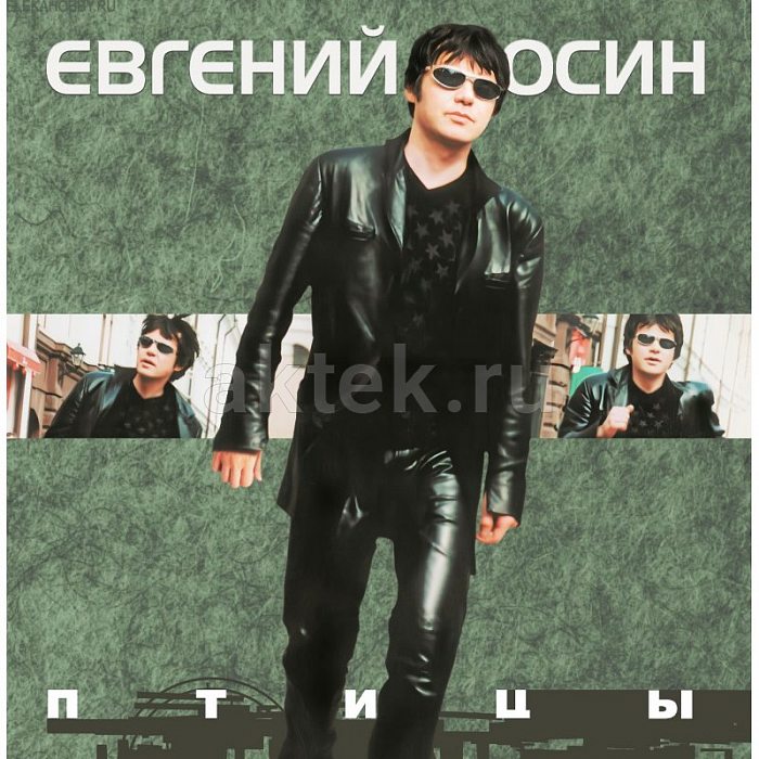 Виниловая пластинка ЕВГЕНИЙ ОСИН - ПТИЦЫ BLACK VINYL 12"