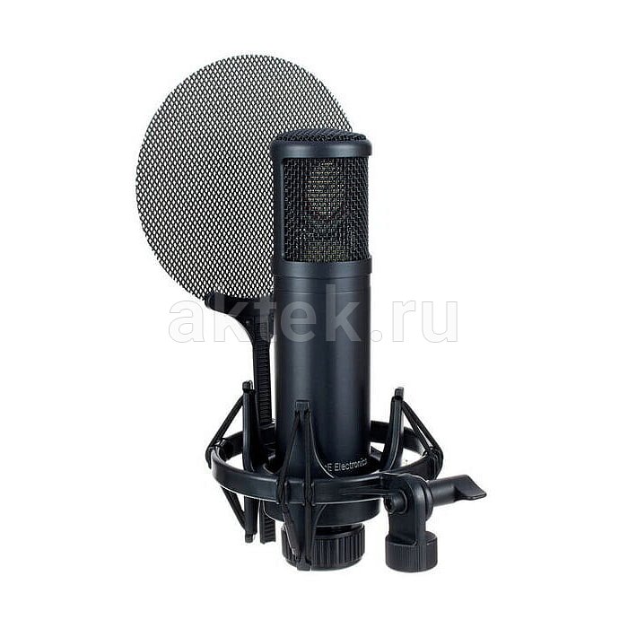Студийный микрофон sE Electronics sE2200 5