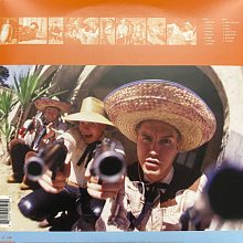 Виниловая пластинка BLINK-182 - DUDE RANCH 180 GRAM BLACK VINYL 12" 2