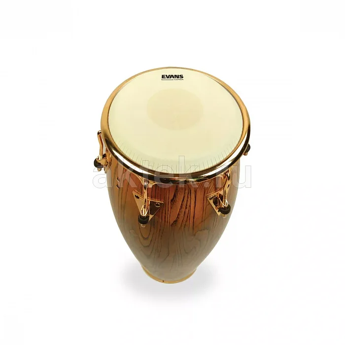 Evans EC1175 Conga Head 11-3/4" барабанный пластик 3