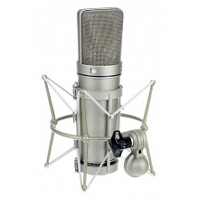 Студийный микрофон Neumann U 67 Set