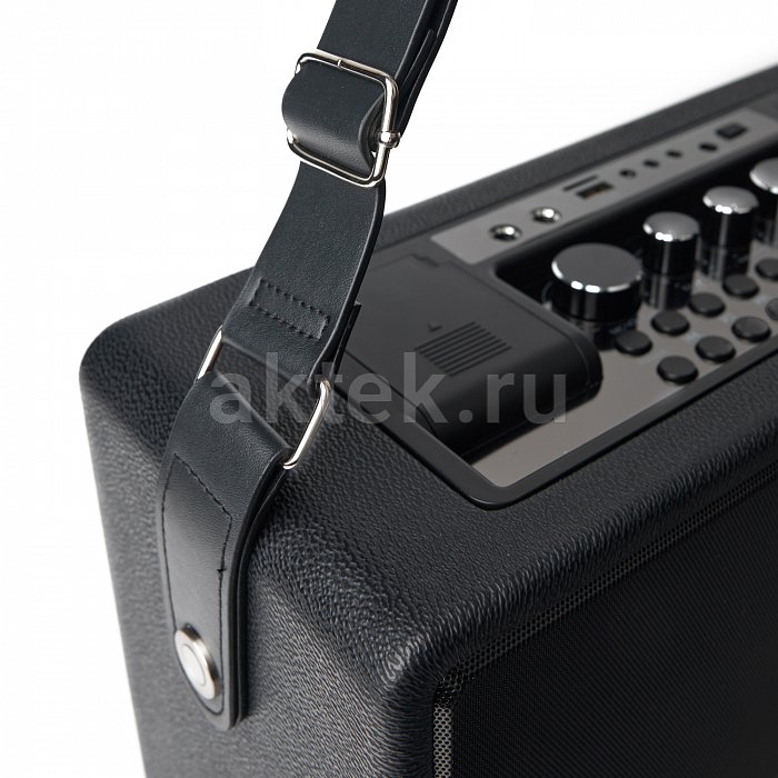 Портативная караоке-колонка с микрофонами SkyDisco YKM23 200 Вт 7