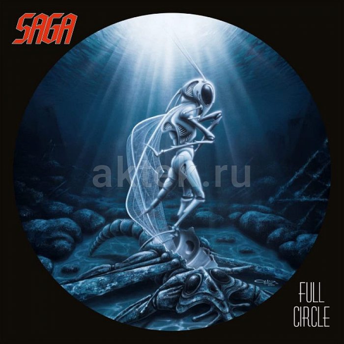 Виниловая пластинка SAGA - FULL CIRCLE BLACK VINYL 12"