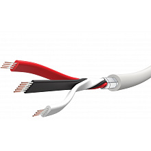 XLR-кабель Wireworld BPI0.75M-10 0,75 м, XLR–XLR 2