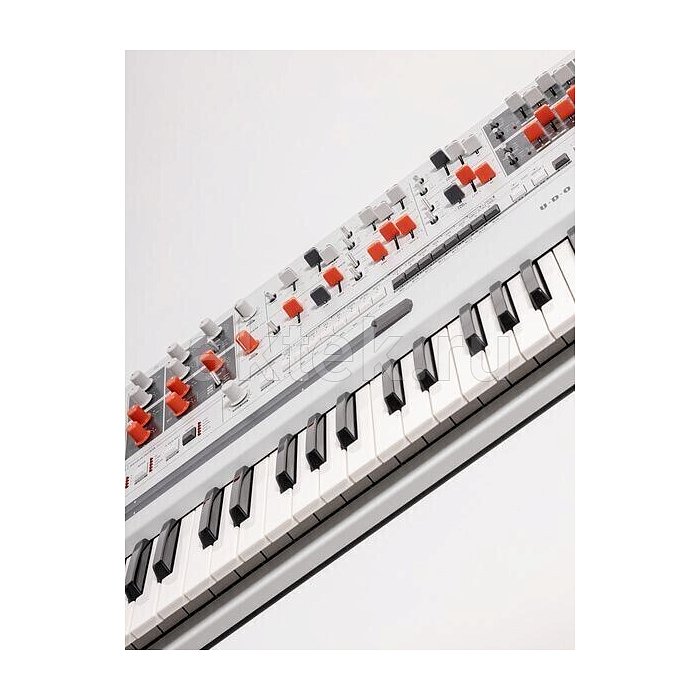 Синтезатор UDO Audio Super Gemini white 4