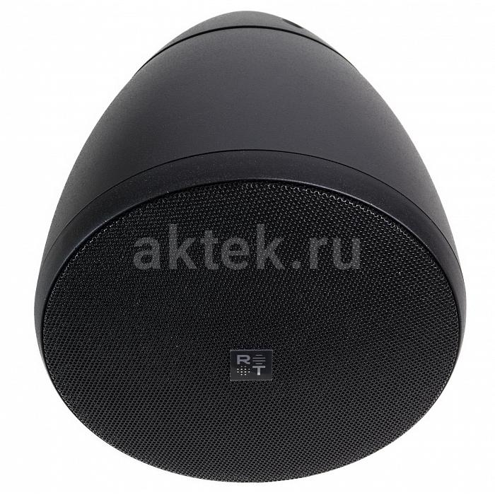 Подвесная акустическая система Radiotehnika RT Campana 4 Black 3
