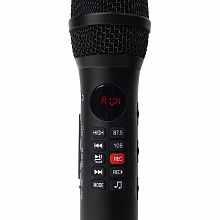 SkyDisco SingSpark караоке-микрофон с динамиком 20 Вт 2