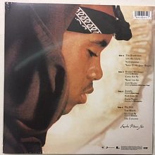 Виниловая пластинка NAS - NASTRADAMUS 180 GRAM BLACK VINYL 12" 2