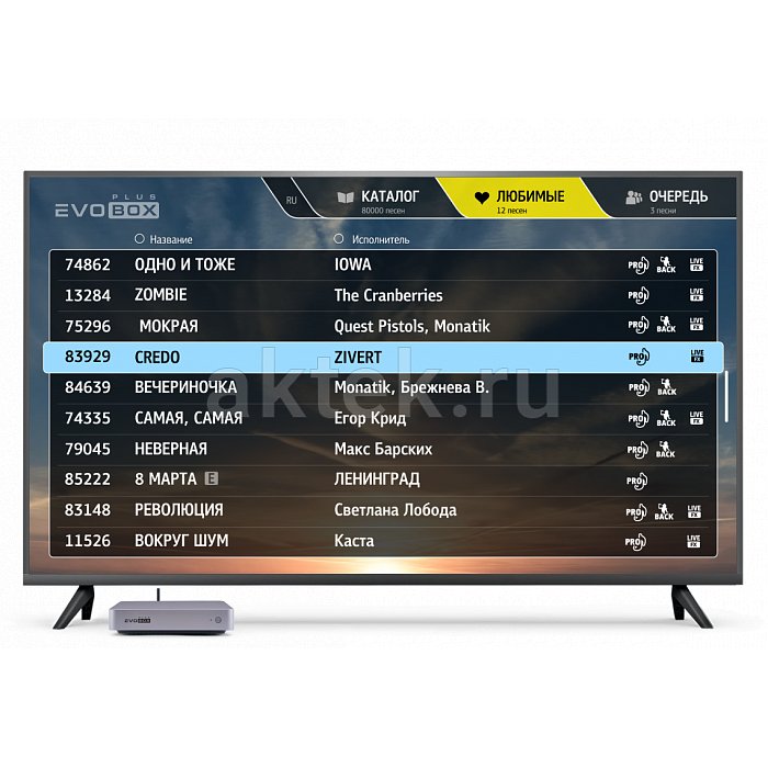 Караоке система с микрофонами Studio Evolution EVOBOX Plus Black 12