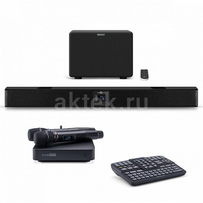 Комплект караоке с микрофонами и саундбаром EVOBOX Classic + EvoSound Bar 2.1 Black