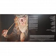 Виниловая пластинка OST - DOYLE PATRICK - HARRY POTTER AND THE GOBLET OF FIRE CLEAR VINYL 12" 3