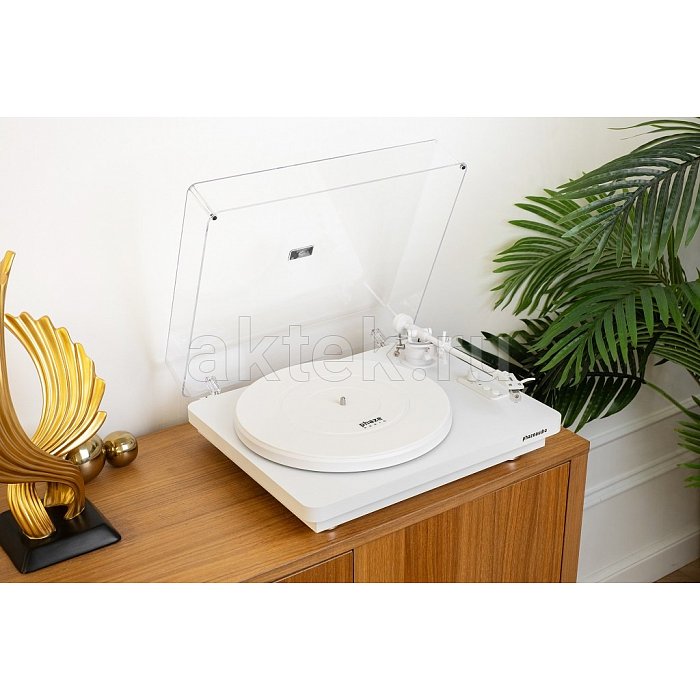 Phaze Audio VOLT Black + Diana MK2 Siberian White стереосистема 4