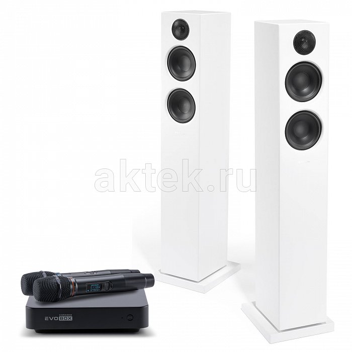 Караоке система с микрофонами и акустикой Studio Evolution EVOBOX+SE 200D+Audio Pro A38 white