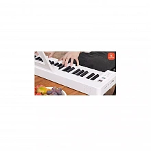 Donner DP-06 цифровое пианино, 61 клавиша, полувзвешенная механика, 32 голоса 3