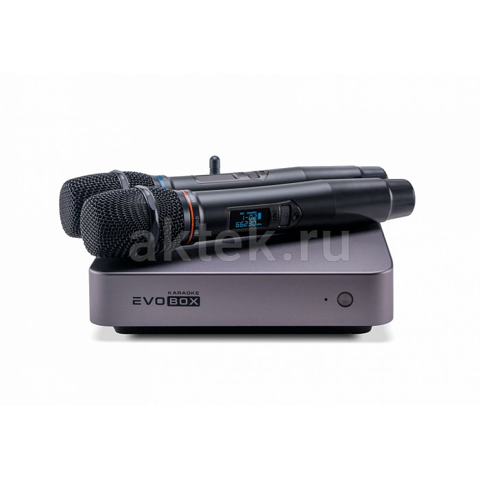 Караоке система с микрофонами Studio Evolution EVOBOX Plus Graphite